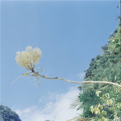 皇冠新体育APPapp下载截图