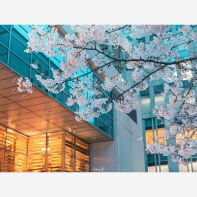 必威体育西汉姆体育