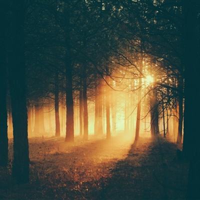 江南全站app下载官方网站