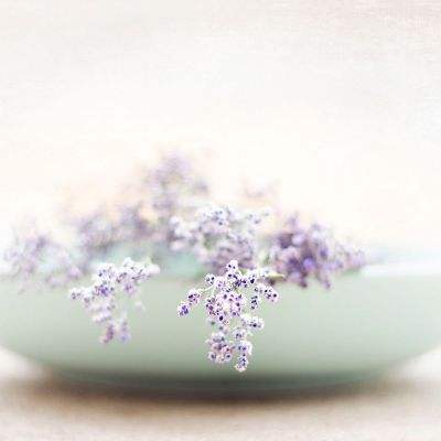 完美电竞平台手机app下载