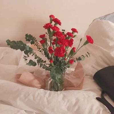 开元ky7818老版本下载手机版