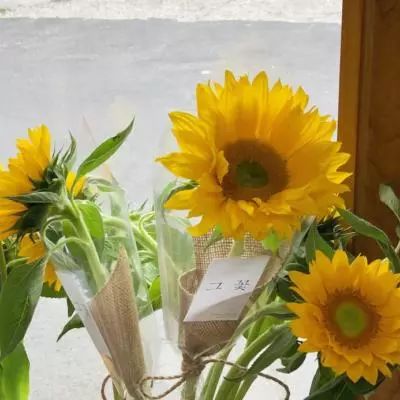 万博ManBetX登录网页版手机app下载